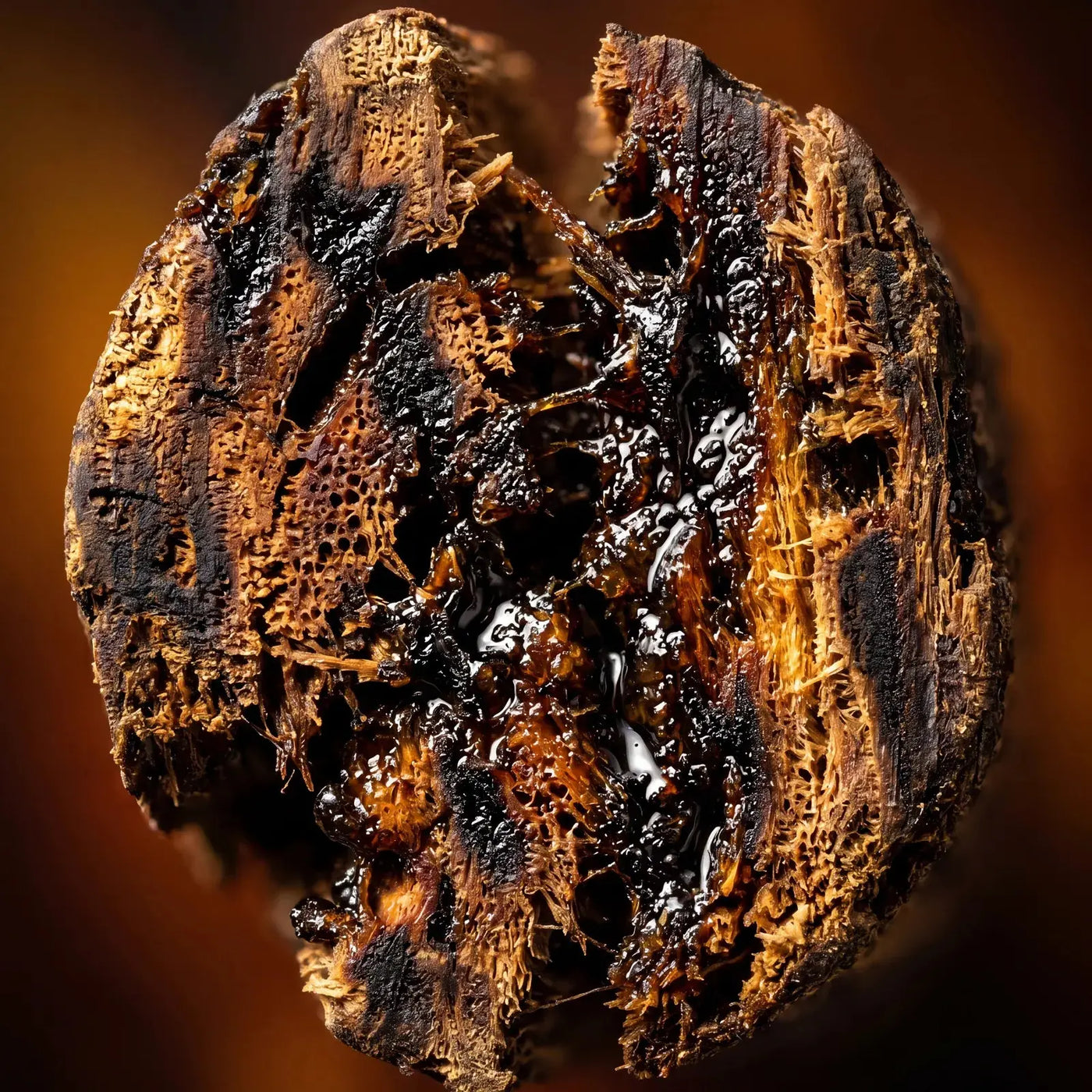 Arabian oud wood beside the Qanzari Desire 99 bottle, the material at the centre of the composition
