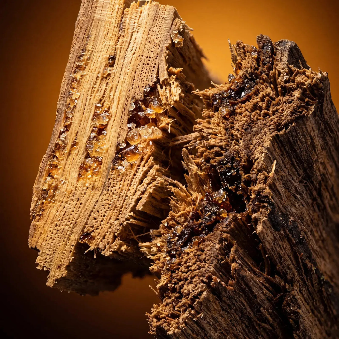 Sandalwood beside the Qanzari Q50 bottle, the wood in its base