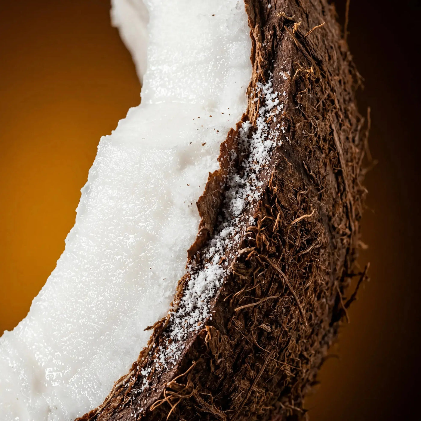 Coconut beside the Qanzari Vanilla 44 bottle, the powdered note in its opening